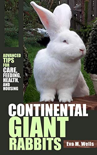 Continental Giant Rabbits: Advanced Tips for Care, Feeding, Health, and Housing