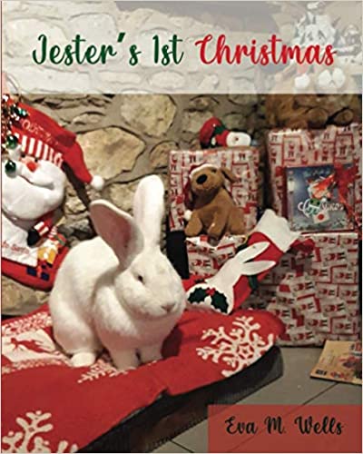 Jester’s 1st Christmas