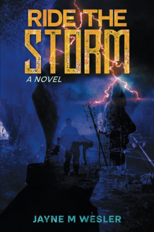 Ride the Storm: A Novel